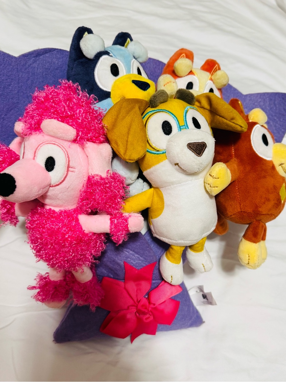 Bluey and Friends Colorful Kids Plush Animal Bouquet